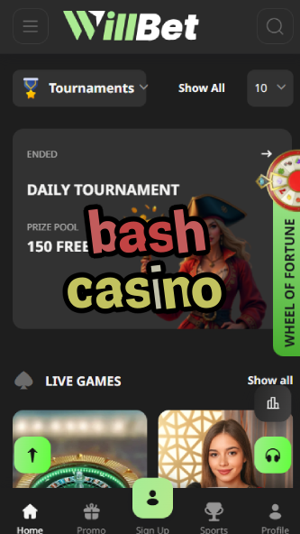 Bash Casino - Party-Themed Casino Platform-www.bdqngd.com