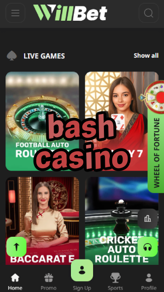 Bash Casino - Party-Themed Casino Platform-www.bdqngd.com